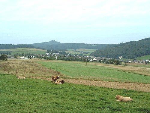 Fliederhof Ferienwohnungen Herresbach Quarto foto