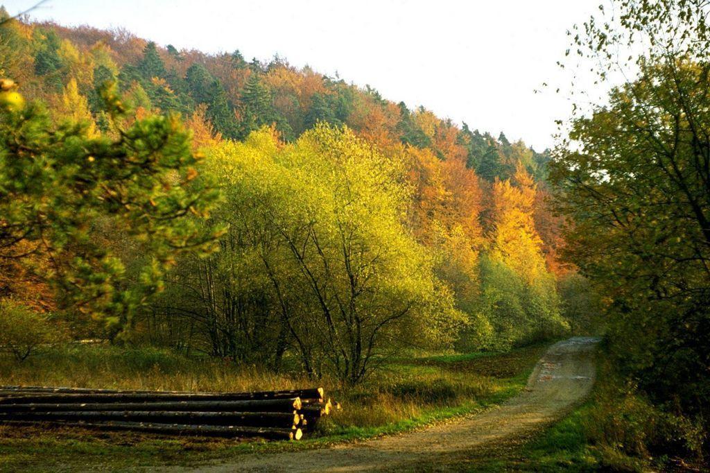 Fliederhof Ferienwohnungen Herresbach Quarto foto